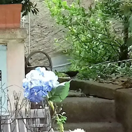 Feriehus Chez Clo Carcassonne